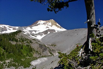 Mt. Hood from the Meadows trail