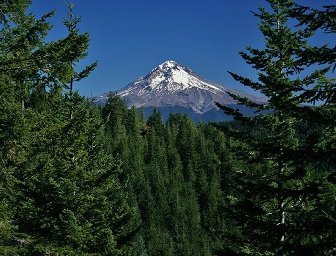 Mt Hood National Forest